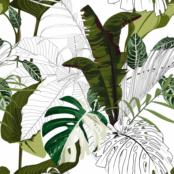 时尚的无缝热带图案与热带bamamas monstera叶子在精致的背景。美丽的外来植物。时髦的夏季夏威夷印花。线条时尚的花卉。图片下载