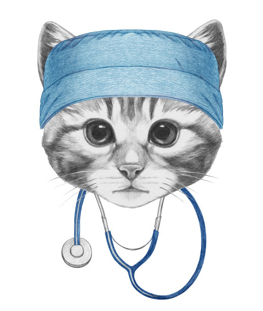 小猫的肖像与医生帽和听诊器。图片下载