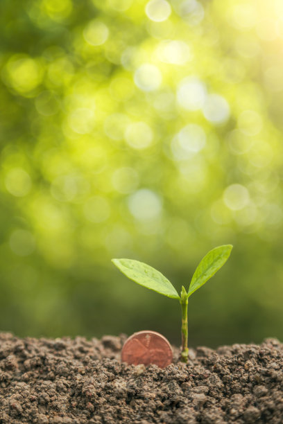 硬币与植物的顶部放在土壤在绿色的自然背景为企业增长的概念图片下载