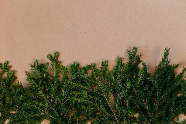 圣诞装饰平面布局与文字空间。纸板背景上的冷杉树枝。环保的圣诞饰品。北欧圣诞卡片。图片下载