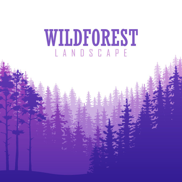 野生针叶林背景。松树，山水自然，木材自然全景。图片下载