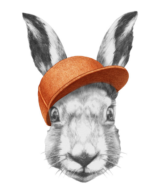 戴着帽子的野兔的肖像。图片下载