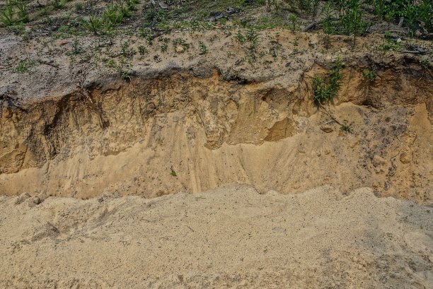 山丘上的棕色干沙纹理图片下载
