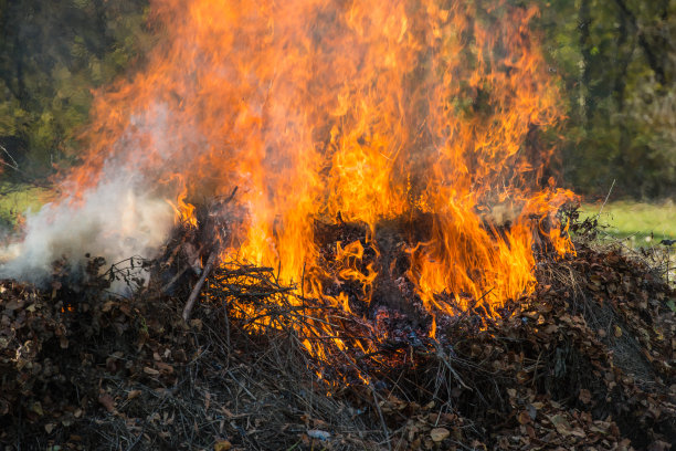 在农村地区燃烧干燥的落叶。图片下载