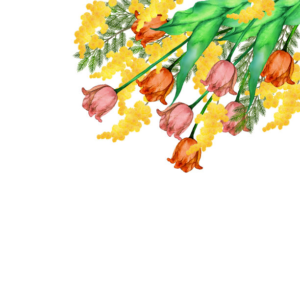 郁金香和含羞草花图片下载