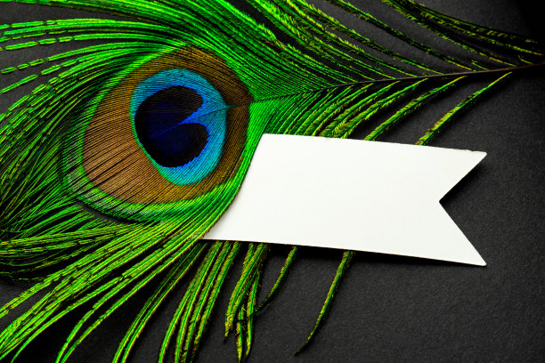 您的设计的空标签。圣诞节、生日或其他节日庆祝明信片，备注。图片下载