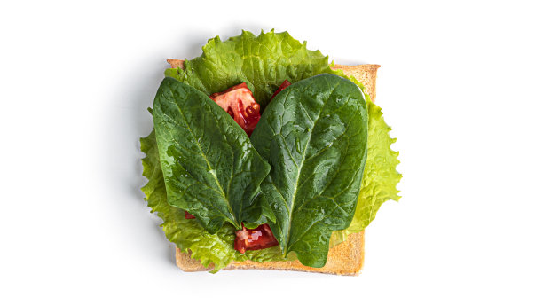 白色背景上的蔬菜三明治图片下载