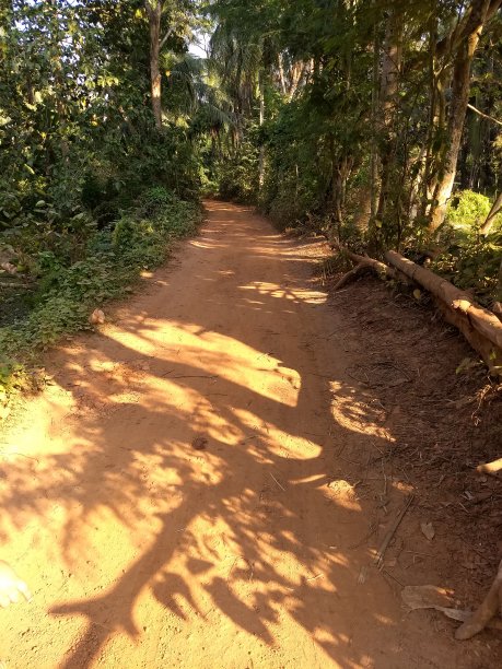 村庄的场景图片下载