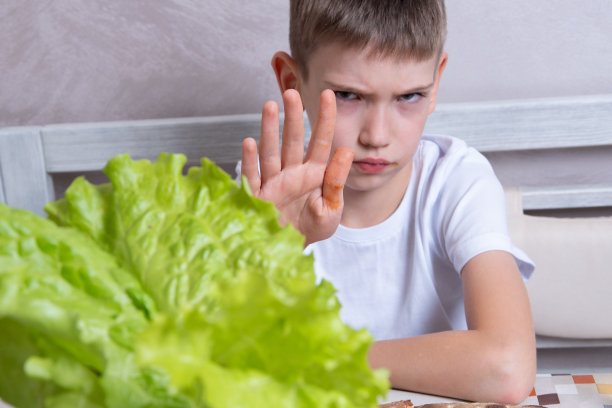 一个英俊的白人男孩拒绝吃沙拉，摊开一只手，严肃地做了一个停止的手势图片下载