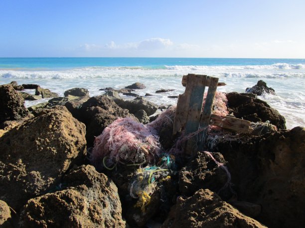 海洋污染/刺网危害图片下载
