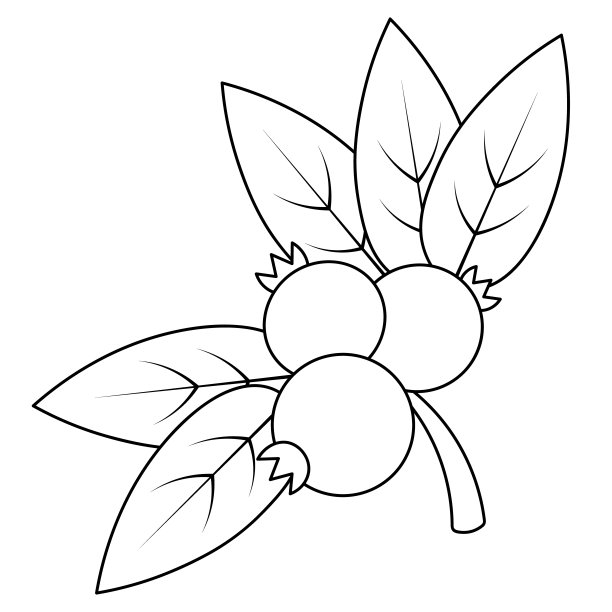 越橘。嫩枝多汁的浆果矢量插图。在孤立的白色背景上勾画轮廓。涂鸦风格。草图。儿童涂色书。收集夏收。季节性的产品。浆果,叶子。小红莓,蓝莓。图片下载
