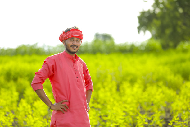 年轻的印度农民站在绿鸽子豆地里图片下载
