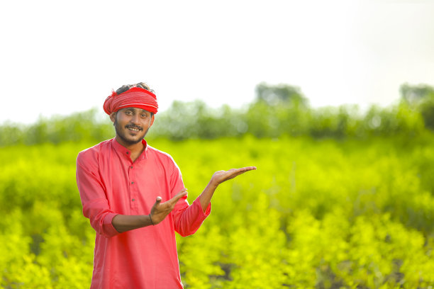 年轻的印度农民站在绿鸽子豆地里图片下载