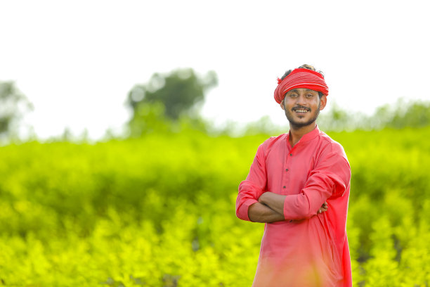 年轻的印度农民站在绿鸽子豆地里图片下载