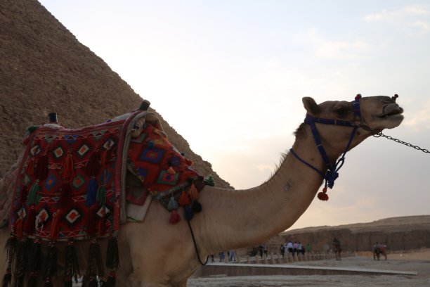 埃及吉萨大金字塔的仰视角度照片，世界七大奇迹之一图片下载