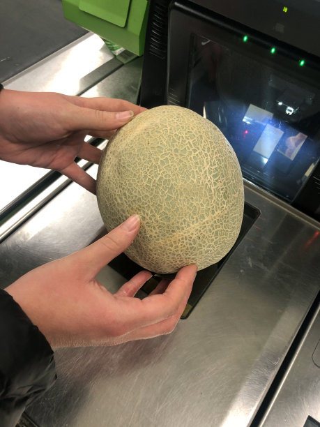 一个不知名的人拿着甜瓜在超市自助结账处扫描(自助结账)图片下载