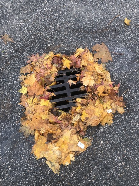 下水道图片下载