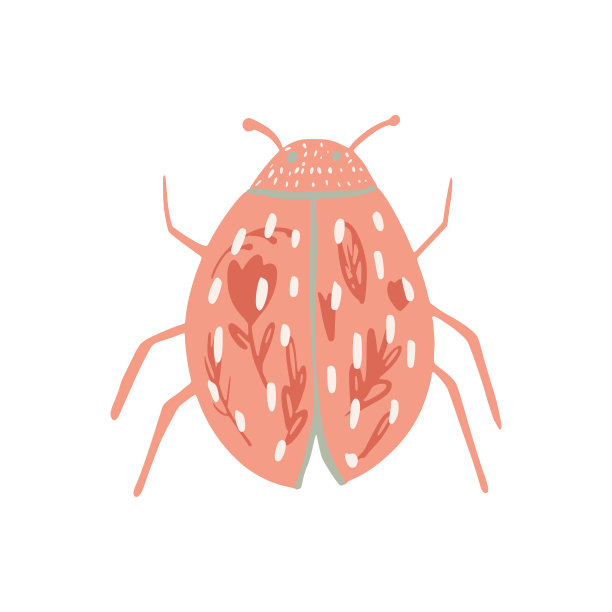 粉红甲虫孤立在白色背景上。抽象派昆虫与花卉花饰在涂鸦。图片下载