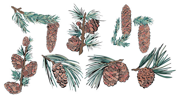 复古风格的绿色圆锥形。圣诞节的背景。节日问候。图片下载