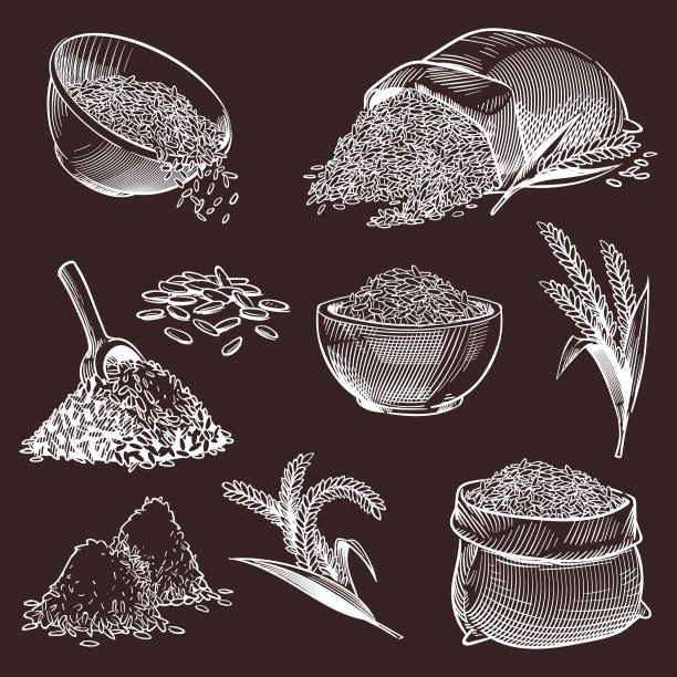 手绘大米素描。复古亚洲谷物和穗，碗茉莉或印度香米，水稻堆，勺子和袋子的种子设置在雕刻风格，烹饪配料矢量插图图片下载