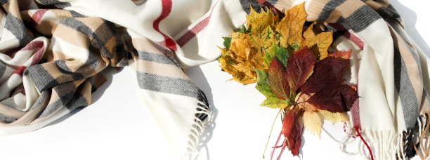 秋天的背景。围巾在一个笼子和秋叶孤立在白色的背景俯视图。本空间图片下载