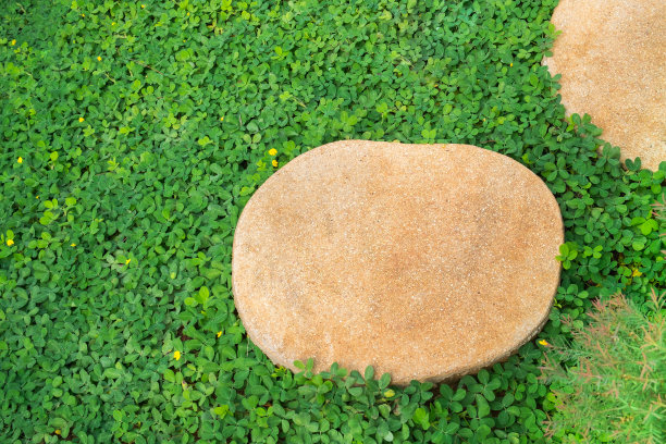 小路用石头铺在绿色的草地上，通向美丽的大自然。图片下载