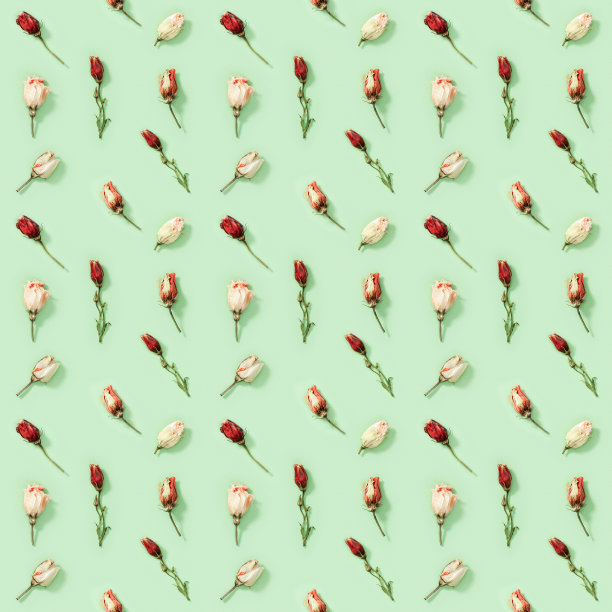 无缝规则创意图案来自天然干花口水仙上的软绿色。花的设计图片下载