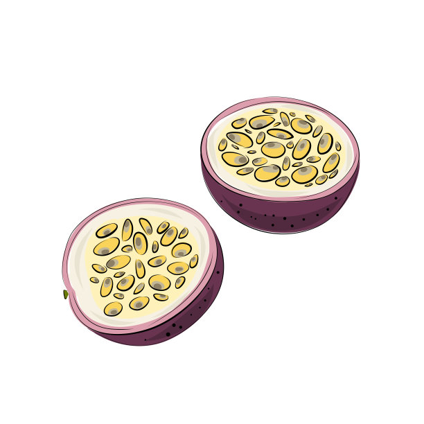 向量集合百香果，百香果，紫玛丽莎的颜色。在白色背景上剪几片图片下载