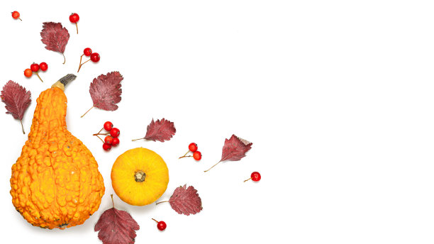 秋天的模式。天然食品，收获与橙色南瓜，秋天干叶，月桂浆果孤立在白色背景。秋天感恩节的背景。图片下载