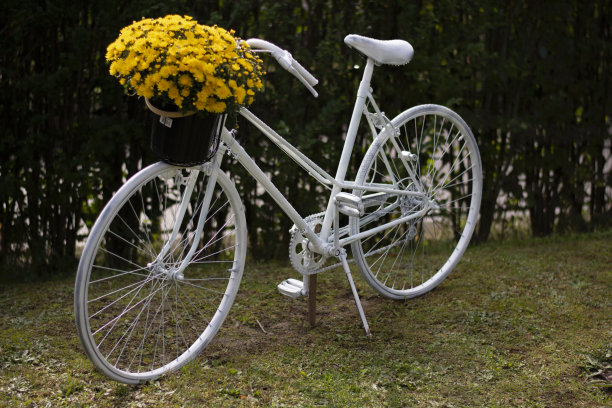白色复古自行车与黄花孤立的自然绿色背景。花园装饰。图片下载
