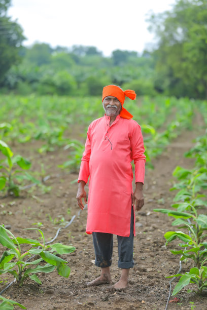 快乐的印度农民站在地里微笑图片下载