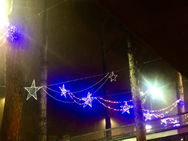 圣诞灯户外图片下载