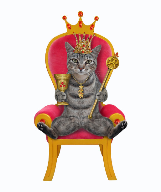 猫灰色与权杖和高脚杯2图片下载