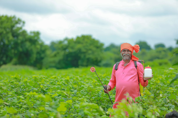 印度农民在田间展示肥料瓶图片下载