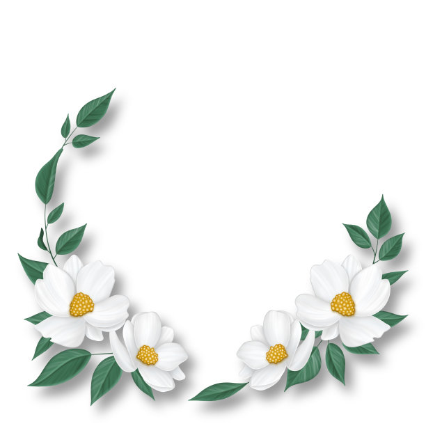 白色的夏日花朵，绿叶在白色的背景上，为邀请，邀请，祝贺。图片下载