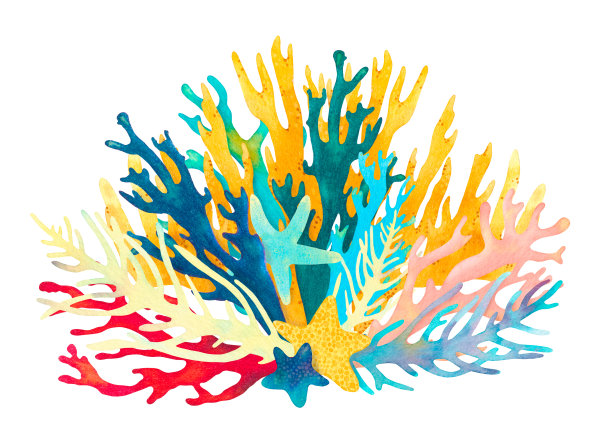 珊瑚礁水彩插图组成。手绘水下海洋生物装饰设计。美丽明亮的珊瑚，鱼，海星，海藻，海洋生物在白色的背景图片下载