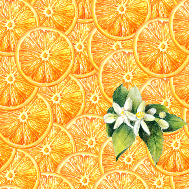 橙、橙片，叶与柑橘花无缝图案图片下载