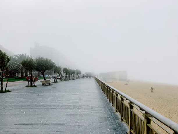 春天清晨的大雾图片下载
