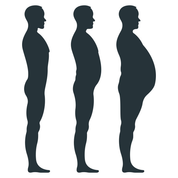 黑色视图侧体剪影，肥胖超重男性解剖人体特征，人假隔离在白色，平面矢量插图。不健康的生活方式。图片下载