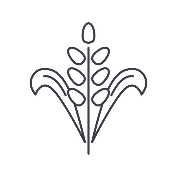 大米图标，线性孤立的插图，细线矢量，网页设计标志，大纲概念符号与可编辑的白色背景笔触。图片下载