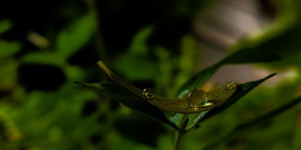 宏水滴图片下载