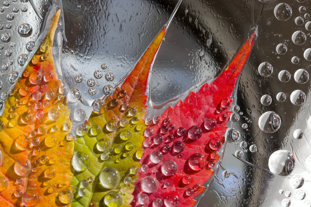 橙色、红色和黄色的落叶在灰色的冰背景下覆盖着冰冷的秋雨滴。图片下载