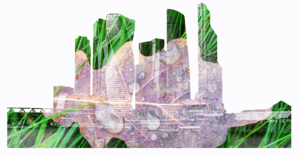 莫斯科市中心摩天大楼的剪影充满了背景从湿的落叶与水珠孤立在白色的背景图片下载