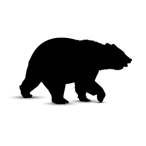 熊的轮廓。图片下载