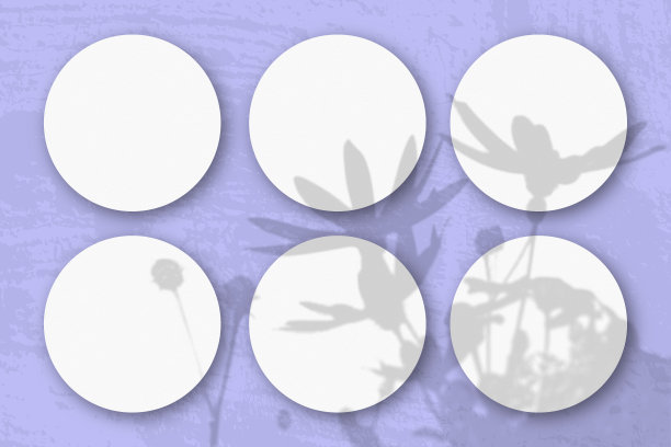 自然光将洋蓟花的阴影投射在6张圆形的白色纹理纸上图片下载