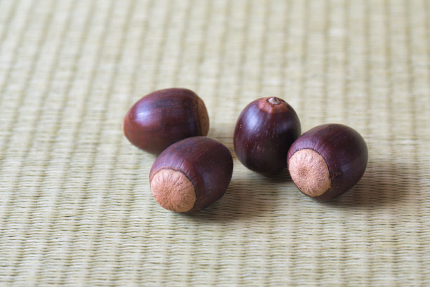 榻榻米垫上的橡子图片下载