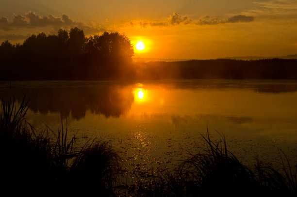 夕阳下的湖，岸边的草木。水面上的落日之光。图片下载
