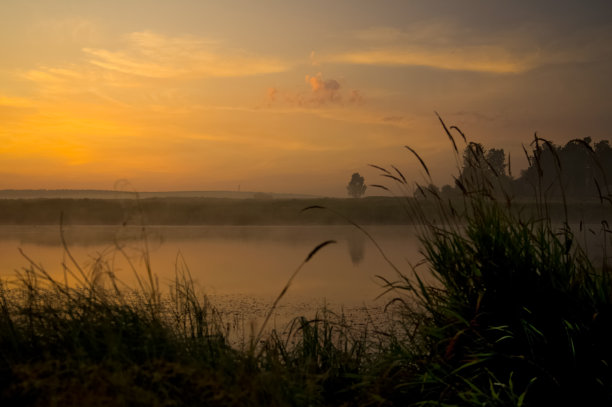 夕阳下的湖，岸边的草木。水面上的落日之光。图片下载