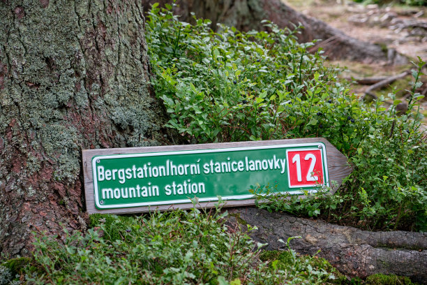 倒下方向标志到山上站躺在树根上图片下载