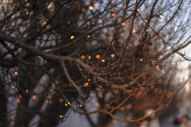 美丽的街景与花环和散景的背景。圣诞背景设计。欧洲的新年气氛图片下载